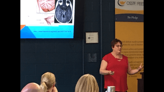 Role of the Cerebellum